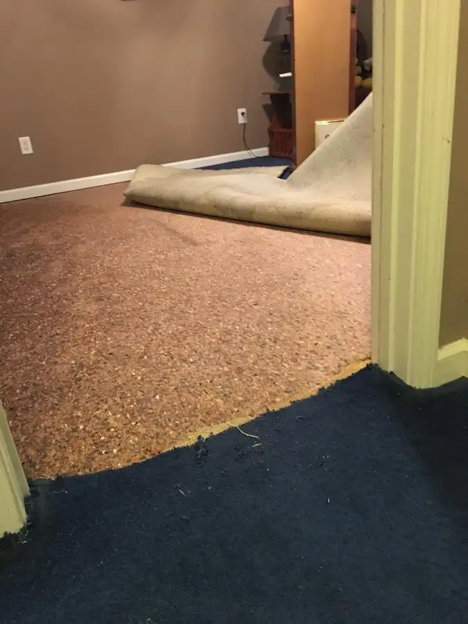 Carpet pad removal revealing water damage during Drying & Dehumidification in Branson