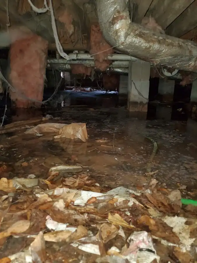 Crawl space flood assessment for Leak Detection & Repair in Branson