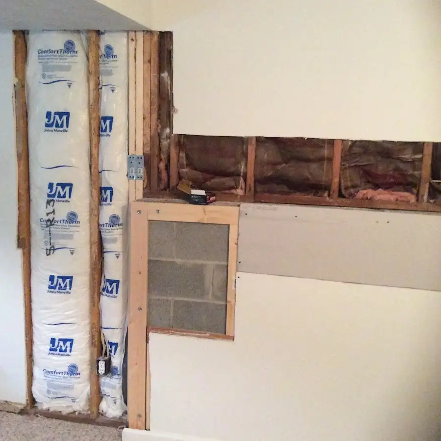 Wall insulation replacement during Odor Removal & Deodorization in Branson
